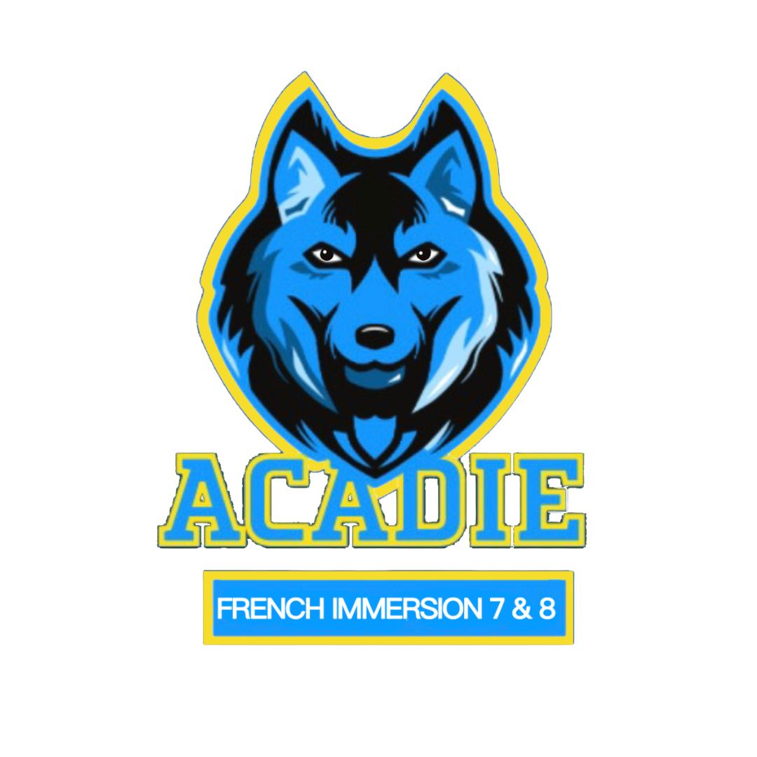 IE Login Module De L Acadie